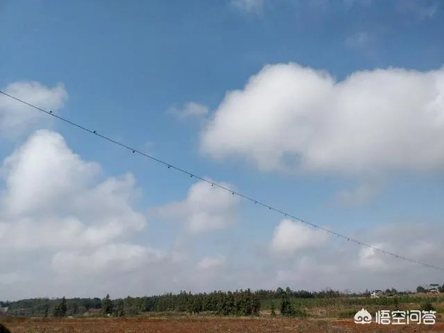 河南留守村700人拍合影,只见人越来越少说不定就空了,你怎么看?