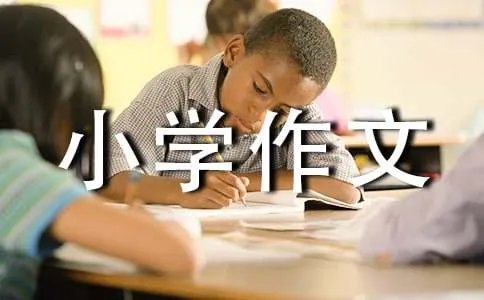 我们的小学作文