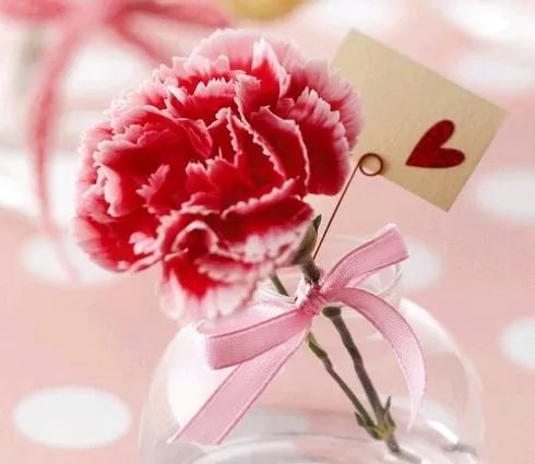 康乃馨图片红色