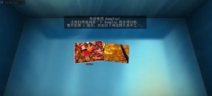 bumptop主题 v2.5.6298.0