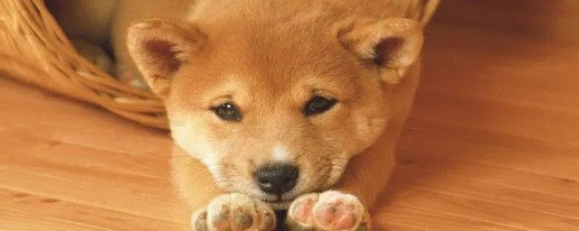 马航h370中国不敢公布 背后还有着非常大的阴谋