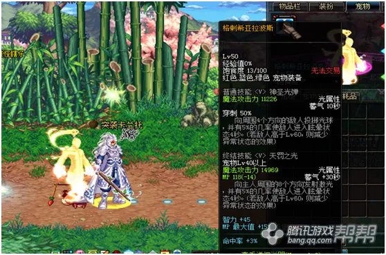 超值宠物盘点!DNF特别宠物礼盒有哪些好宠物?