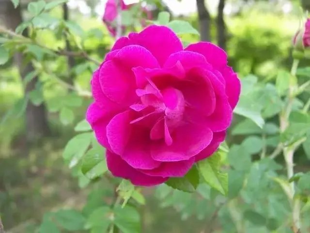 身体出现哪些症状，就说明你该排毒了呢？