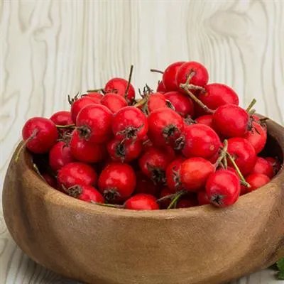 好孕来了：备孕的艰辛过程