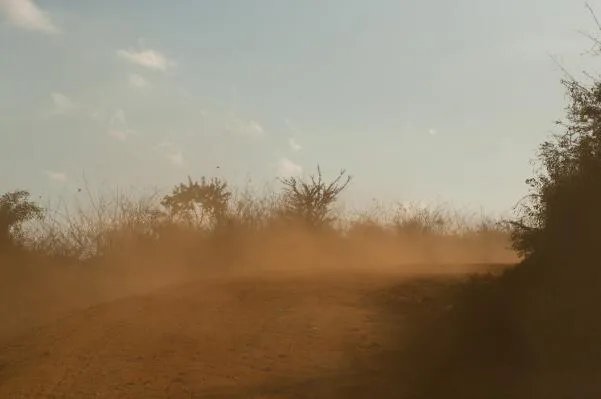 尘埃是什么意思