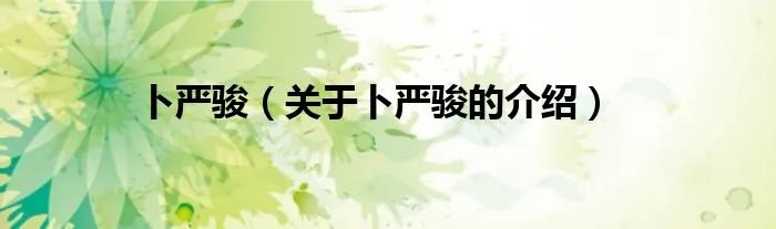 卜严骏（关于卜严骏的介绍）