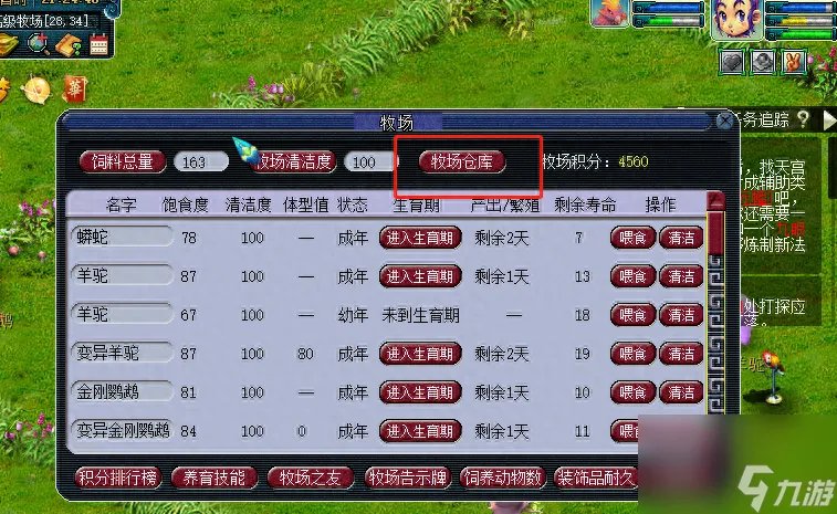 牧场网页游戏怎么玩 梦幻西游牧场玩法介绍  待收藏