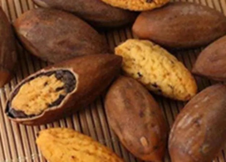 香榧的功效与作用