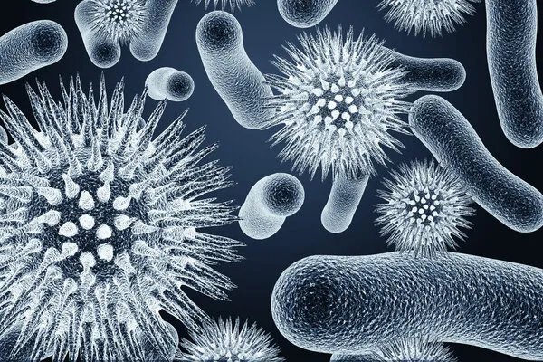 两岁幼童喝现挤羊奶得布病！什么是布氏杆菌病？