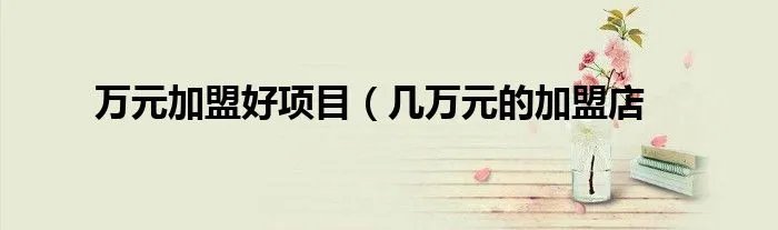 万元加盟好项目（几万元的加盟店