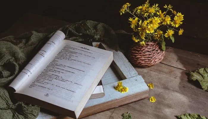 象牙塔是什么意思