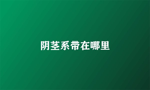 阴茎系带在哪里