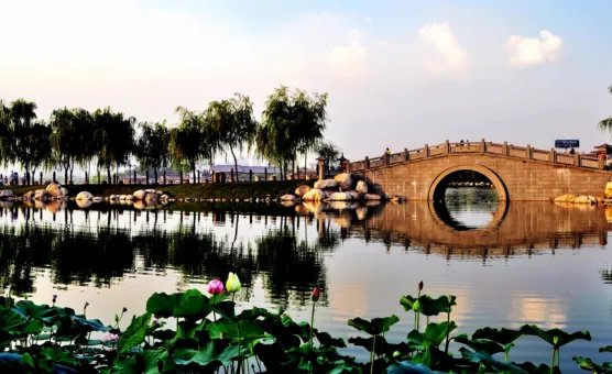 男人梦见蛇打架是什么意思 男人梦见蛇打架有什么预兆