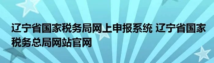 辽宁省国家税务局网上申报系统 辽宁省国家税务总局网站官网