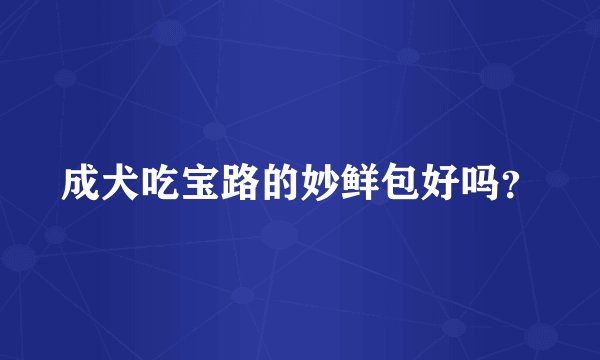 成犬吃宝路的妙鲜包好吗？