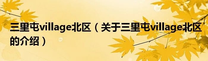 三里屯village北区（关于三里屯village北区的介绍）