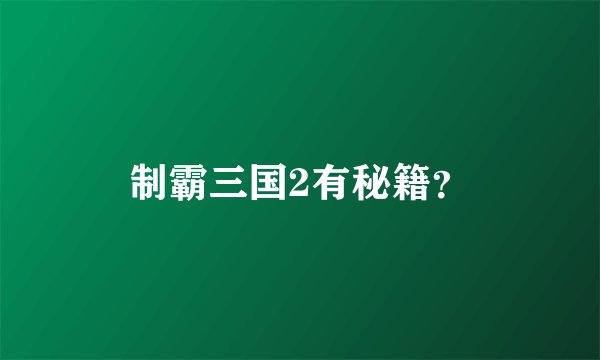 制霸三国2有秘籍?