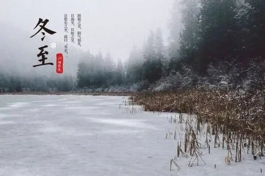 2019数九天时间表