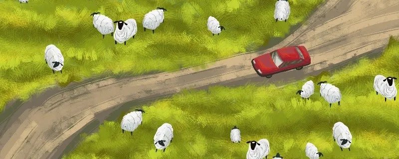 属羊的和什么属相最配、相克 与羊相冲相克的属相