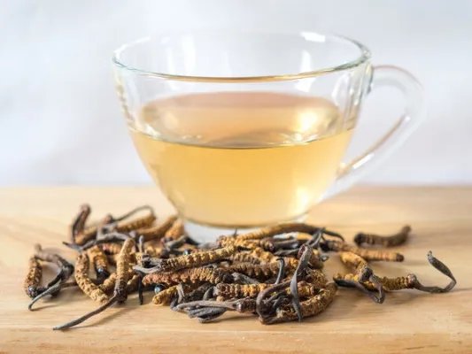 冬虫夏草功效作用