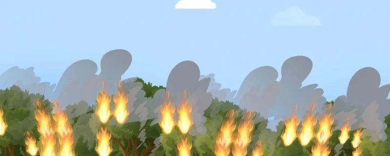 防灾减灾日是哪天