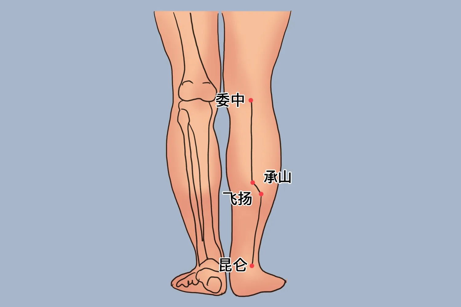 飞扬的准确位置图片