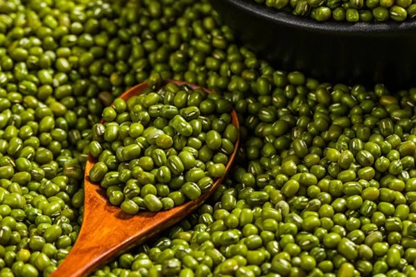 吃药能吃绿豆吗