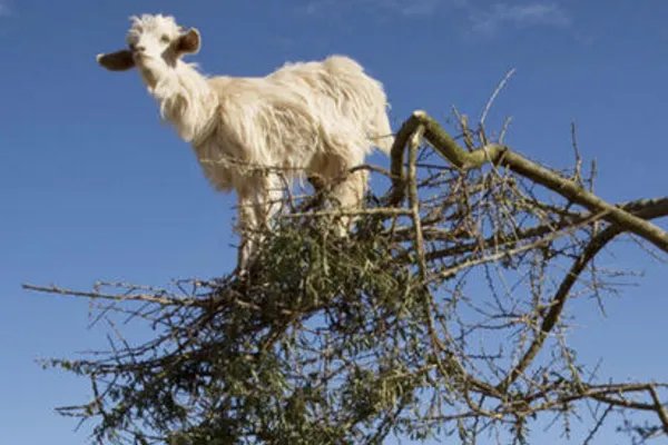 教育部约谈浙江省教育考试院是何情况?