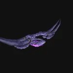 魔兽世界梅尔莫塔的暮色长弓怎么获得