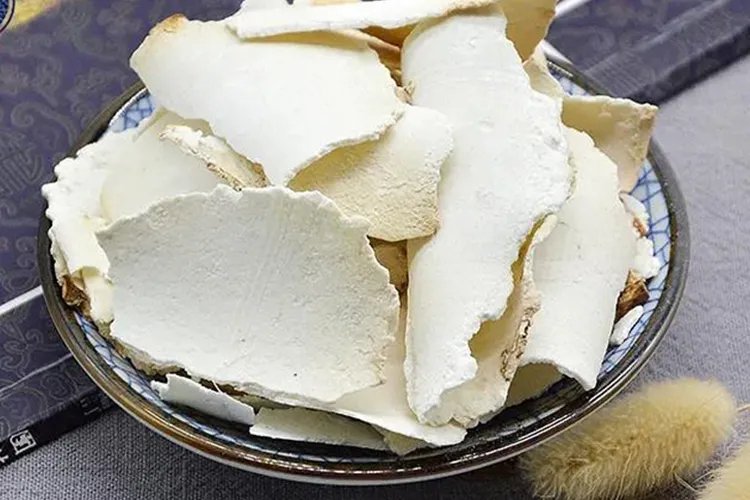 茯苓的作用与生长图片