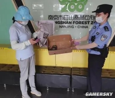 猫头鹰一家在南京相继热中暑 被救后送至动物园