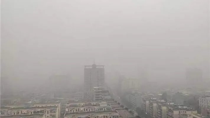 大雾神器来袭：大雾神器是什么及作用揭晓（图）