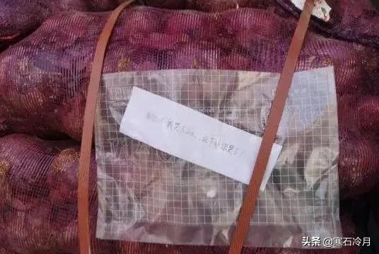 女子买一吨洋葱送前男友，声称：我哭够了，该你了，怎么回事？