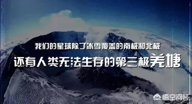 江一燕零片酬出演的电影叫什么名字?什么时候上映?