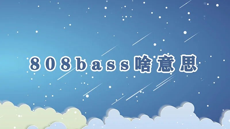 808bass啥意思
