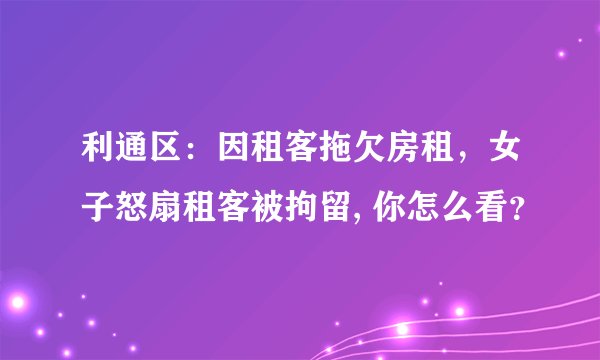 利通区：因租客拖欠房租，女子怒扇租客被拘留, 你怎么看？