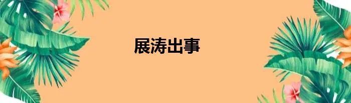展涛出事