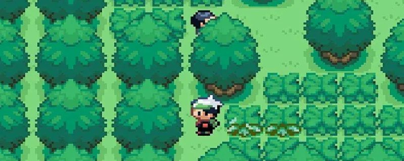 永恒之沫mega进化表