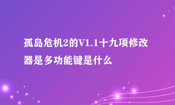 孤岛危机2的V1.1十九项修改器是多功能键是什么