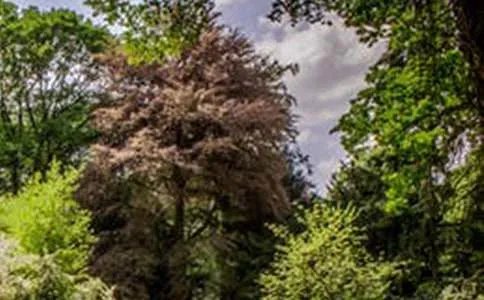 熟悉的地方也有风景作文