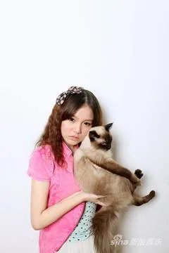 求本兮穿这样的衣服的照片！！