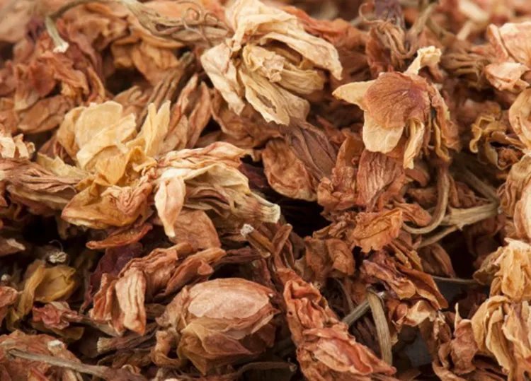 罗汉果花的功效与作用