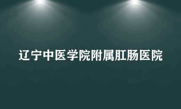 辽宁中医学院附属肛肠医院