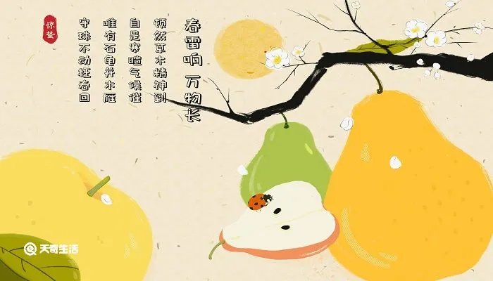 惊蛰为什么要吃梨