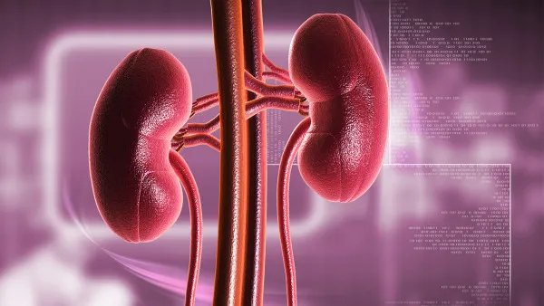 慢性肾炎可以根治吗