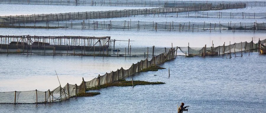 十大苏州必去景点排名,苏州园林上榜,第十是江南四大名镇