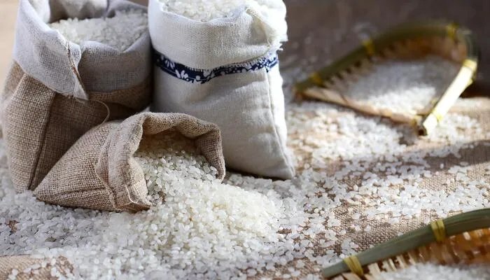 为什么密封很好的大米还会长出米虫 密封很好的大米还有米虫是什么原因