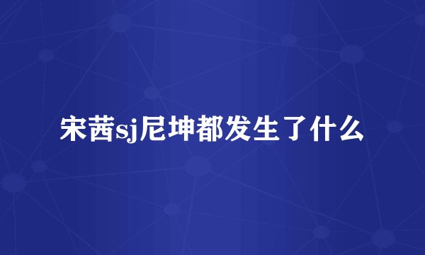 宋茜sj尼坤都发生了什么