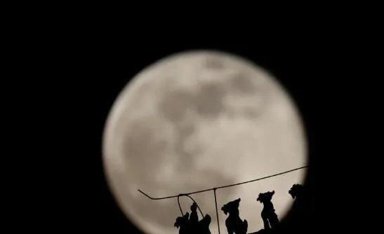 2021年首次“超级月亮”上演  一轮圆月挂在天空分外明