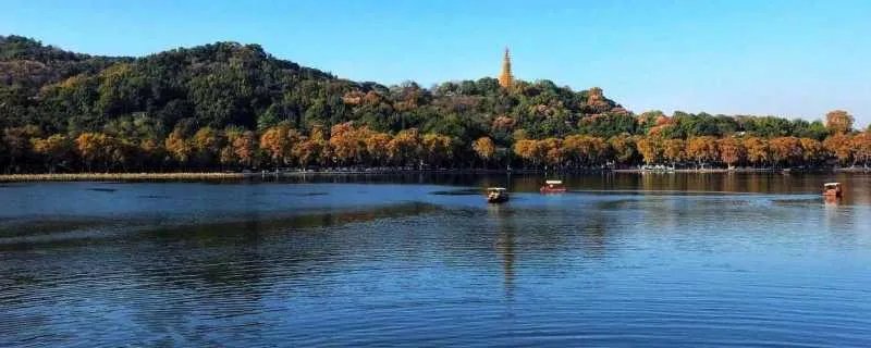 2022年杭州亚运会的主场馆像一只什么 2022年杭州亚运会主场馆叫什么